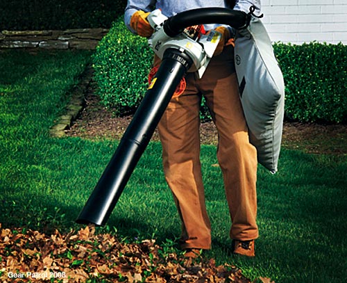 Stihl Buy Stihl Bg Ce Petrol Vacuum Blower Kg Onilne In India