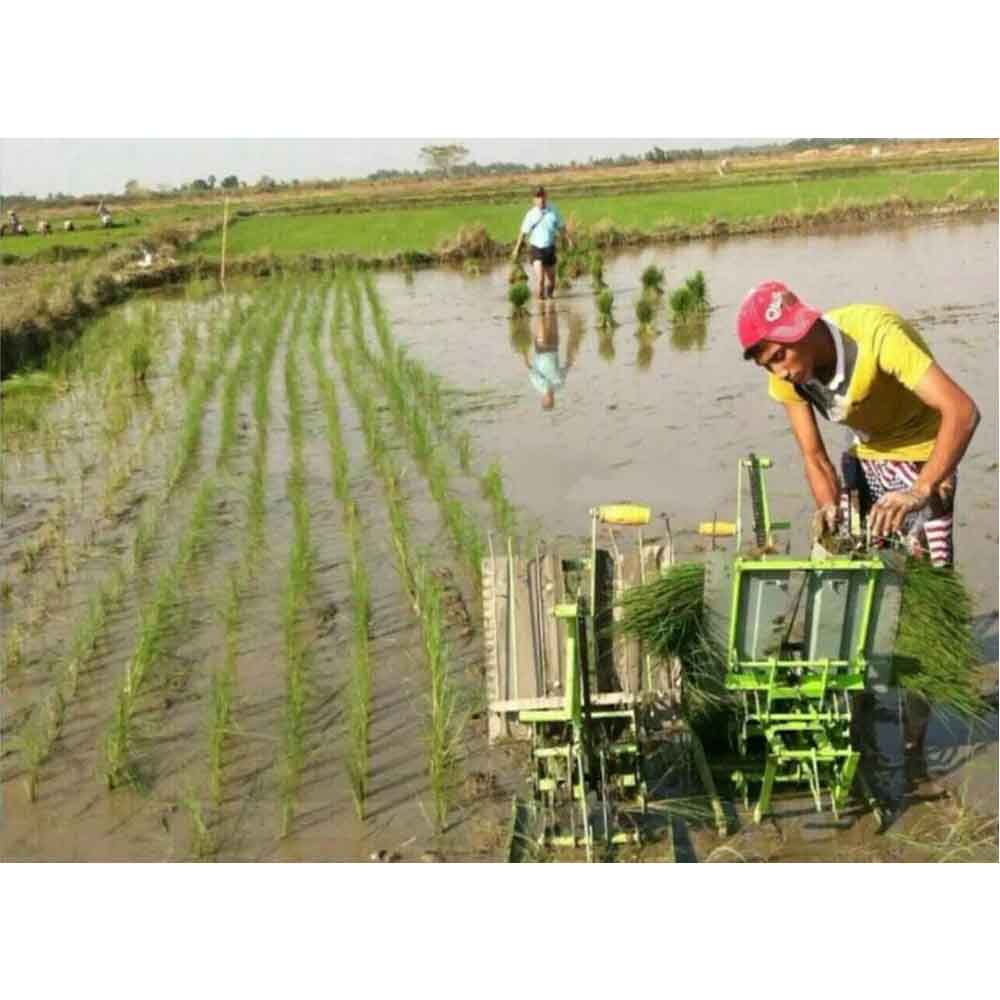 Imported Buy Premium Quantity Double Rows Manual Rice Planter