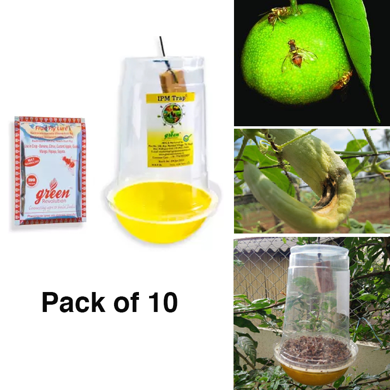 Green Revolution - IPM Pheromone Trap With Fruit Fly Pheromone Lure For ...